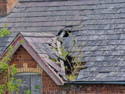 Professional emergency water extraction services services in Newburgh